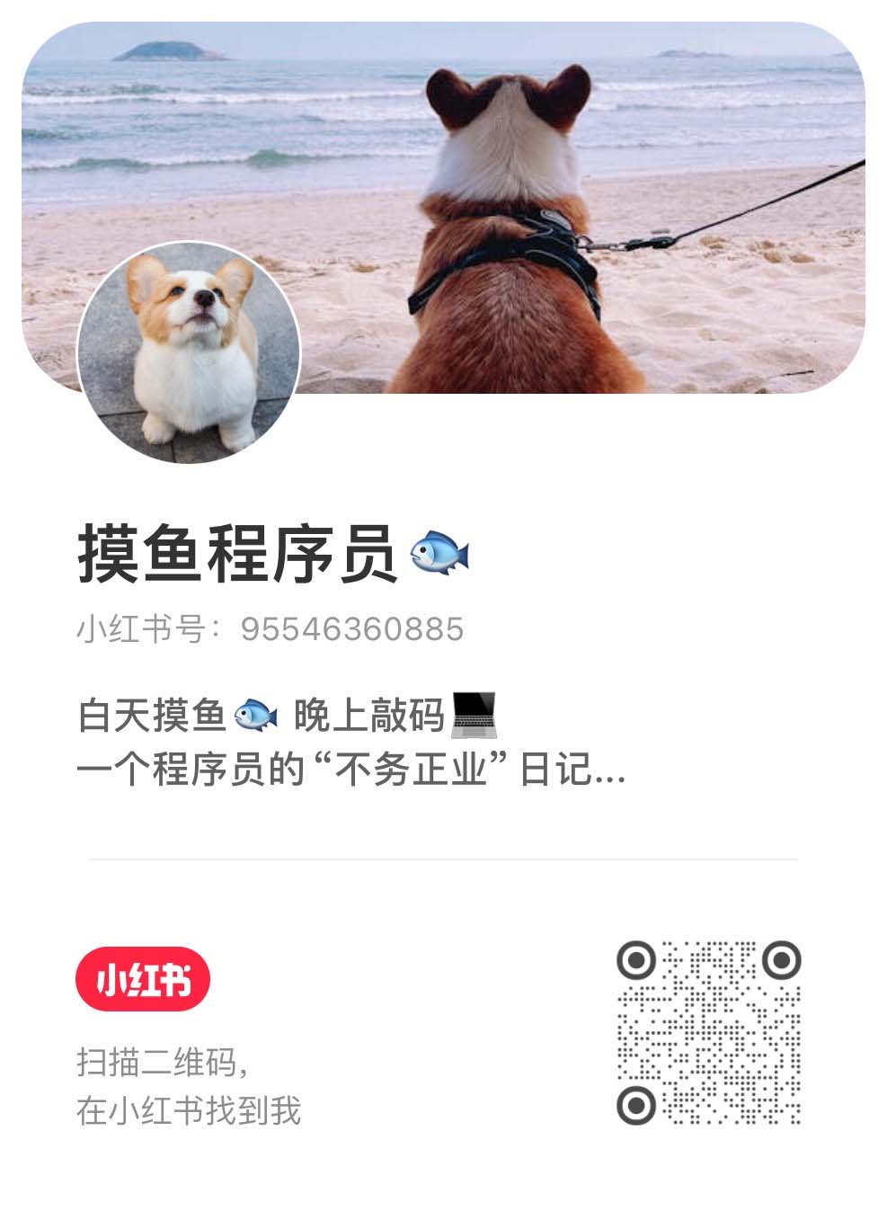 小红书二维码